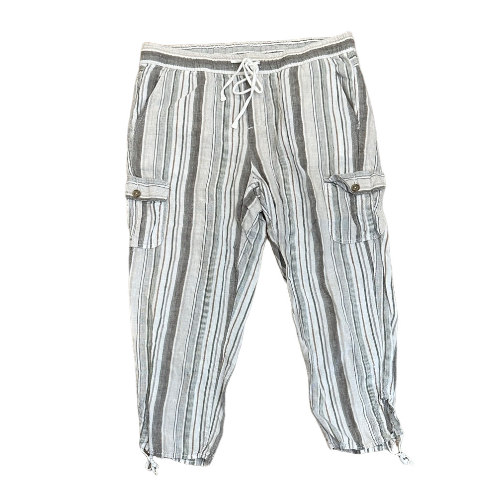 Blue Earth Striped Cropped Leg Pants Size M